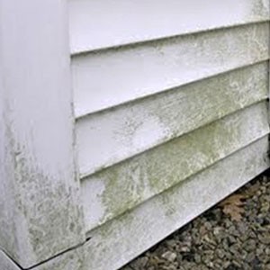 Clean siding using water-based cleaners